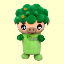 ブタッコリ～
